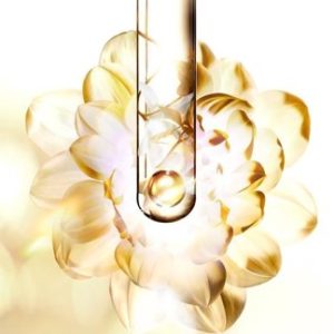 F U S I O 	O F	I N G R E D I E N T S