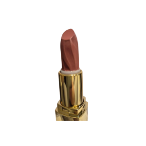 MK LIPSTICK 10