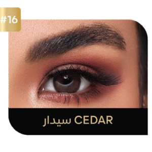 ECCO, Daily 2pcs, CEDAR #16 (0.00)