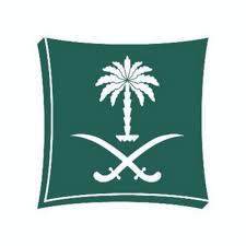 Saudi Logo